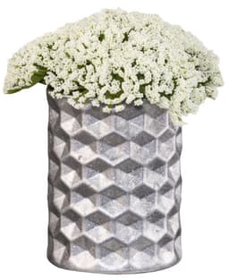 5ed447ee316ff_345699cah00080119imagineintenseglitterflowerpotheroitemsilver.jpg miniatura