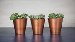 5ed45a8b91b48_despues.jpg miniatura