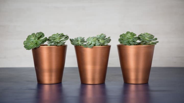 Imagen 5ed45a8b91b48_despues.jpg