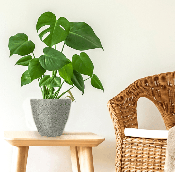 Imagen 603d46eebb36b_stone-gris.png