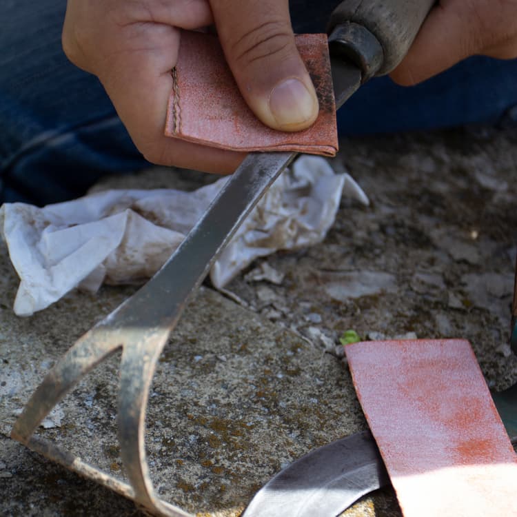 Imagen 64da8d057bf49_7263-ls1.jpg