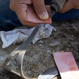 64da91b616a96_7263-ls1.jpg miniatura