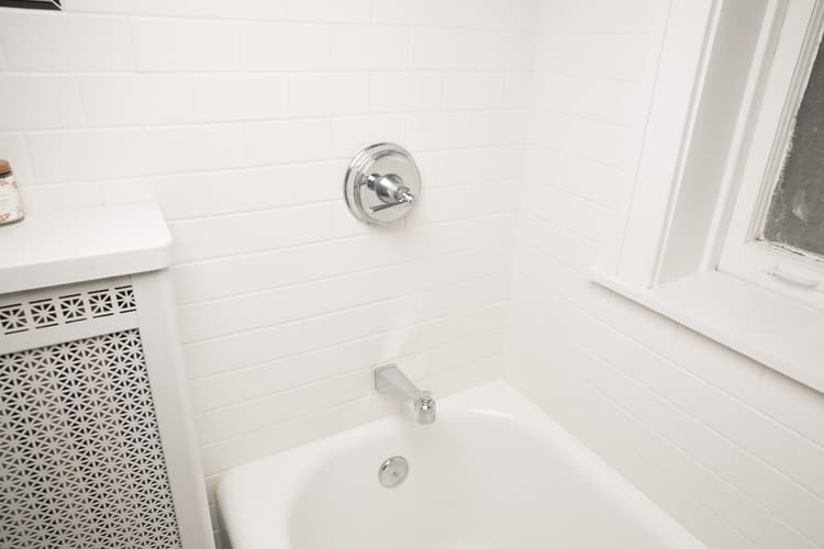 Imagen 67e5a8ea66f51_384165-imagen-5.jpg