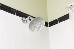 67e5a8ea8d62e_384165-imagen-4.jpg miniatura