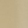 Color Champagne