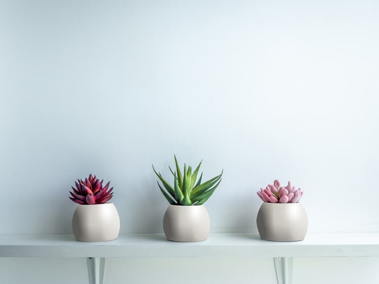 Imagen 5e8766a152100_358294ucesmaltealaguagrispiedrasatinado3.jpg