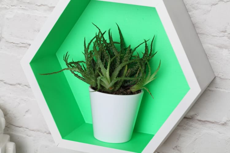 Imagen 5ed3d38668bf7_272130-fluorescente-verde-3.jpg