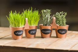 5ed442ad85007_300a1198tes03281016chalkboardplantersafterselected.jpg miniatura