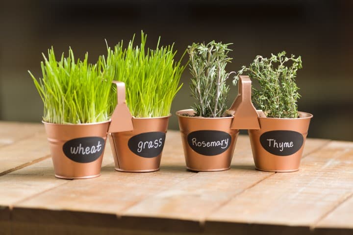 Imagen 5ed442ad85007_300a1198tes03281016chalkboardplantersafterselected.jpg