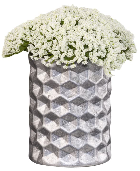 Imagen 5ed447ee316ff_345699cah00080119imagineintenseglitterflowerpotheroitemsilver.jpg